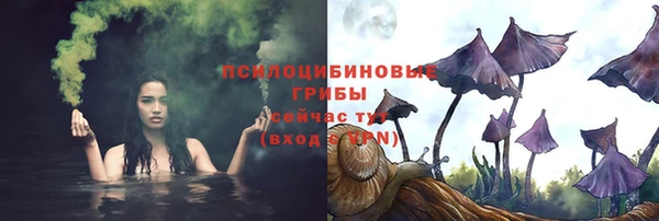 СК Покачи