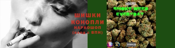 ешки Новодвинск