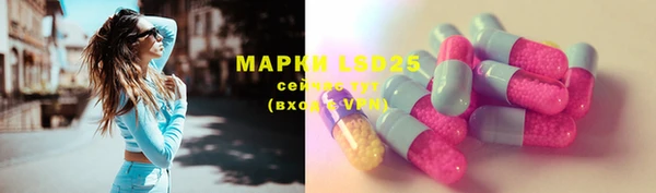 ешки Новодвинск