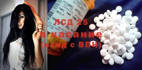ешки Новодвинск