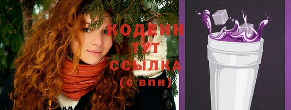 крисы Краснослободск
