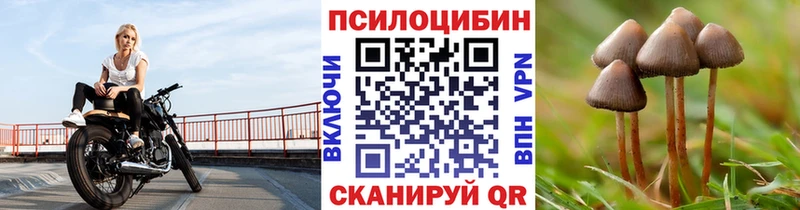 Галлюциногенные грибы GOLDEN TEACHER  Ленинск-Кузнецкий 