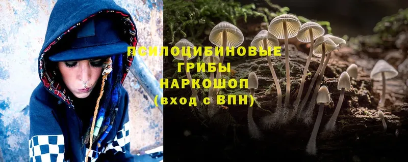 Псилоцибиновые грибы Magic Shrooms  купить   Ленинск-Кузнецкий 