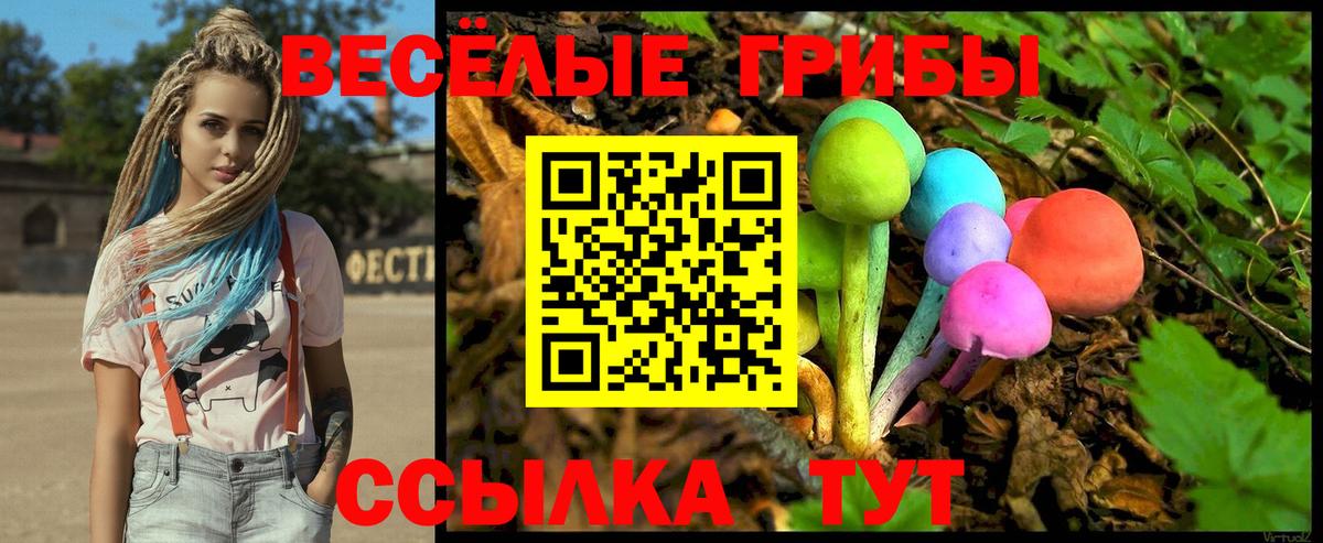 наркота  Вход с VPN  Ленинск-Кузнецкий  Галлюциногенные грибы мухоморы 