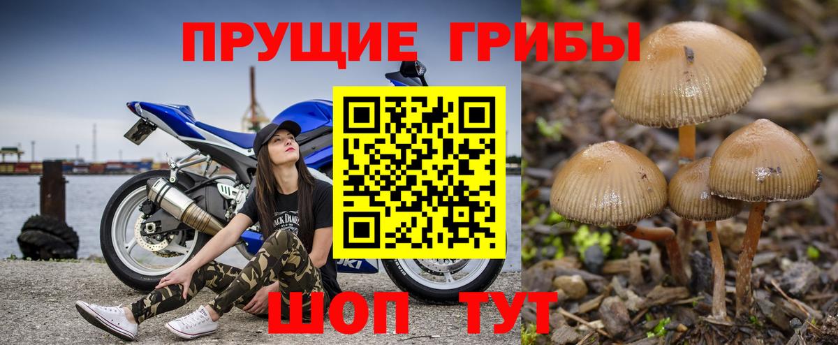 Галлюциногенные грибы Magic Shrooms Ленинск-Кузнецкий